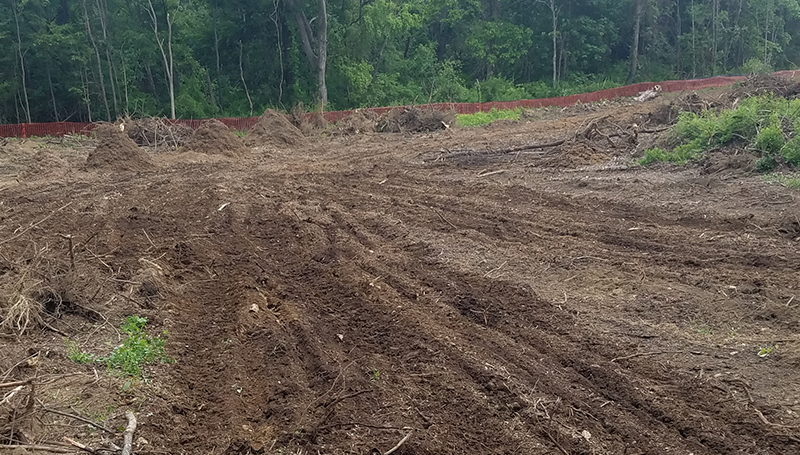 Rancourt Land Clearing of New York and Connecticut providing professional Grubbing & Stump Removal Services
